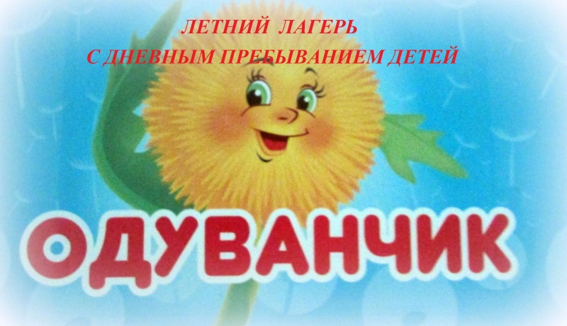 Отдых и оздоровление учащихся.